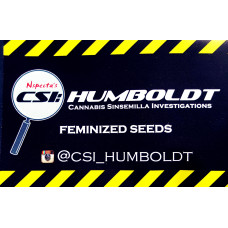 5150 Triangle Kush x Bubba Kush 101 – Humboldt CSI 5150 Triangle Kush x Bubba Kush 101 – Humboldt CSI