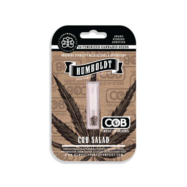 Cobb Salad (MOUNTAINTOP MINT #1 x OG KUSH x HAZE) – Humboldt Seed Company Cobb Salad (MOUNTAINTOP MINT #1 x OG KUSH x HAZE) – Humboldt Seed Company